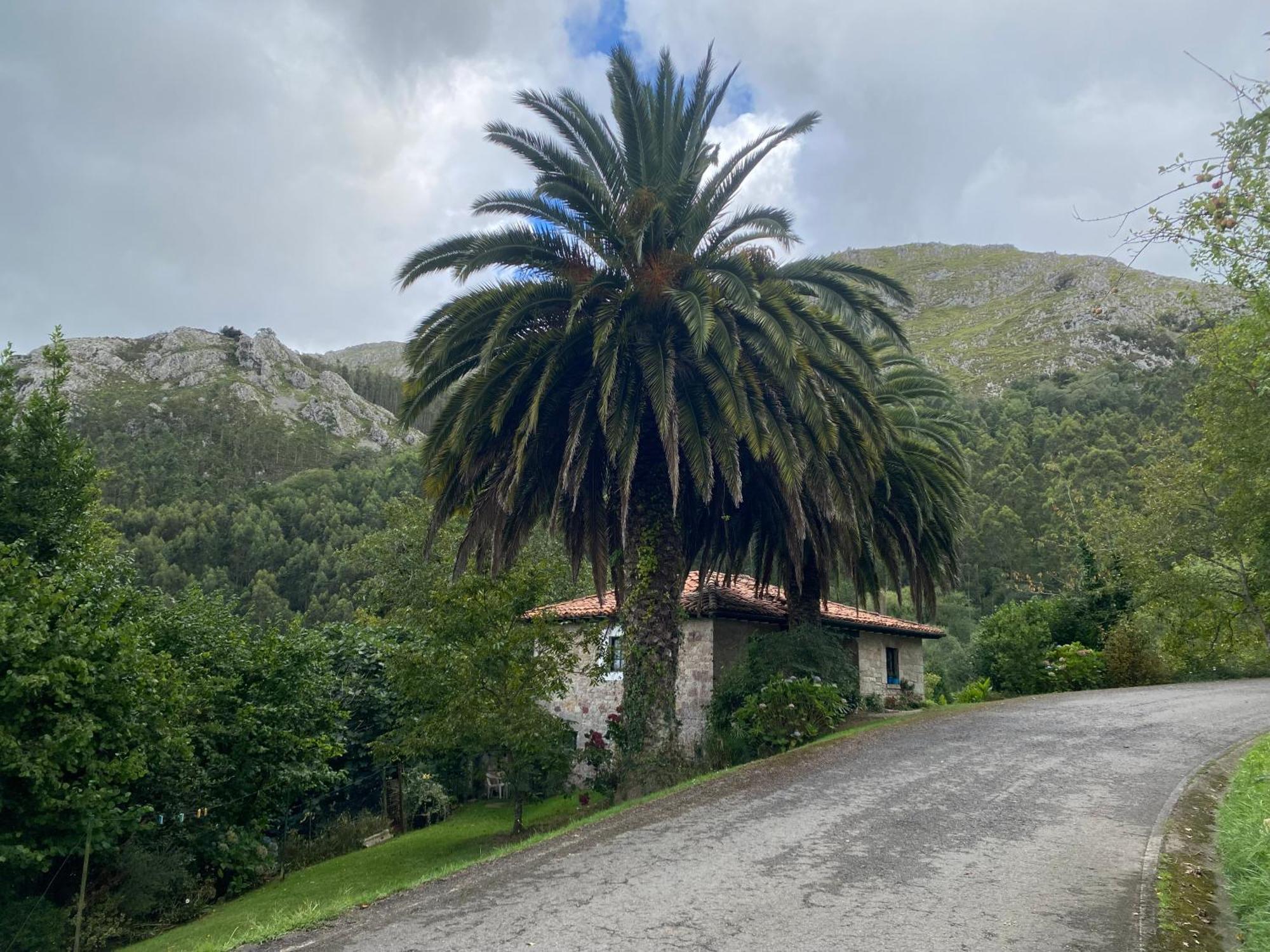 Casa Estilo Rural Con Jardin Entre Playa Y Montana Villa Caravia Exterior photo